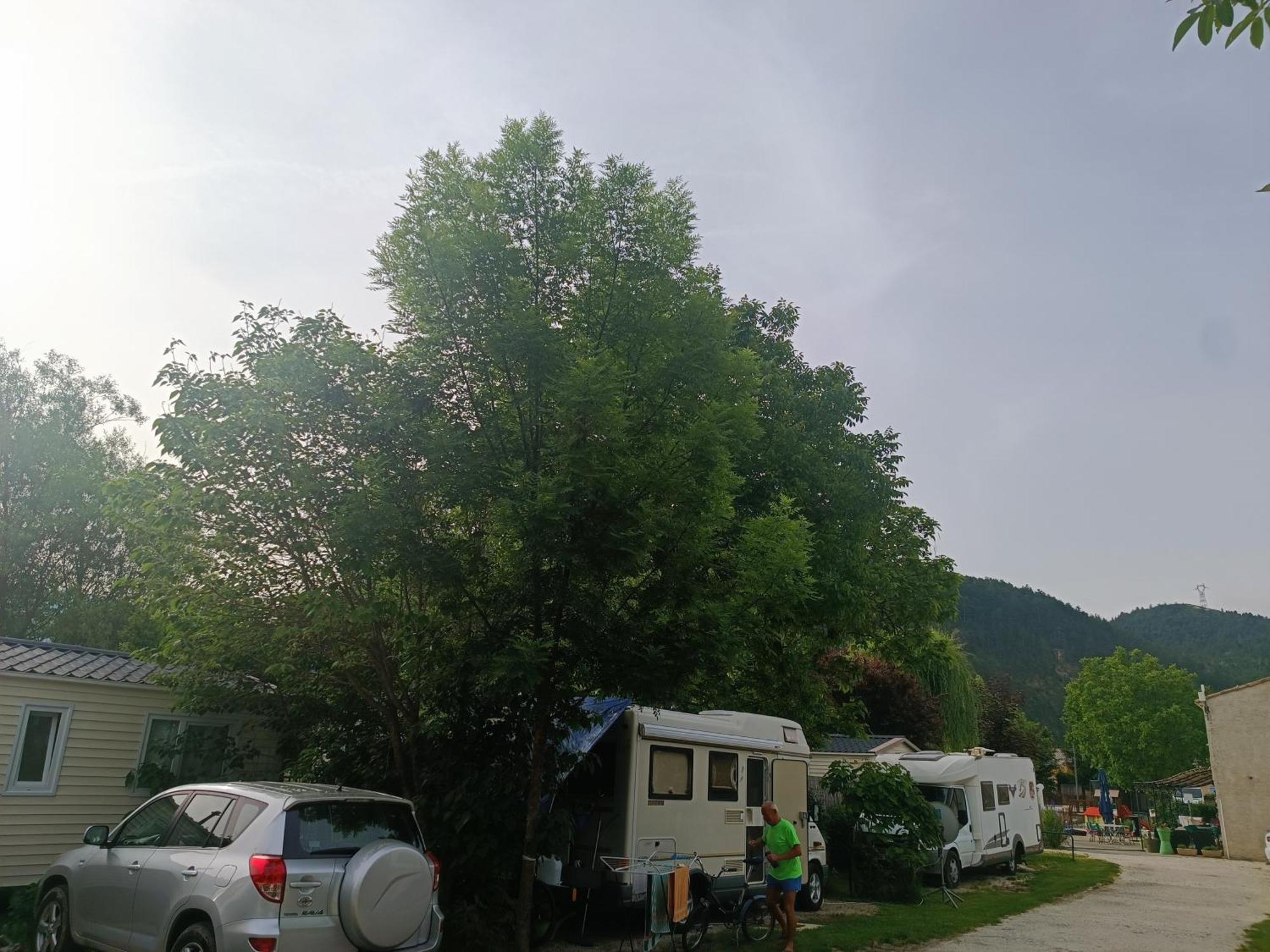 Camping Les Lavandes, Castellane Eksteriør bilde